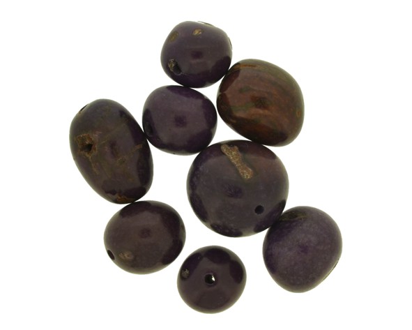 Buriti colorido - Roxo - Pacote 10 sementes
